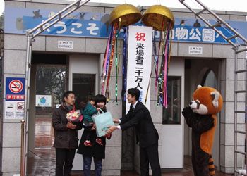 120214doubutsukouen1.jpg