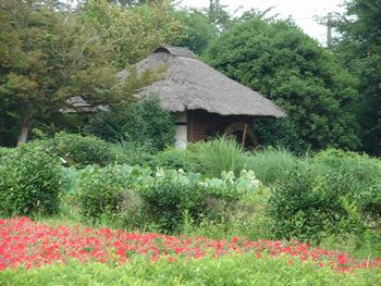 120714nouen1.jpg